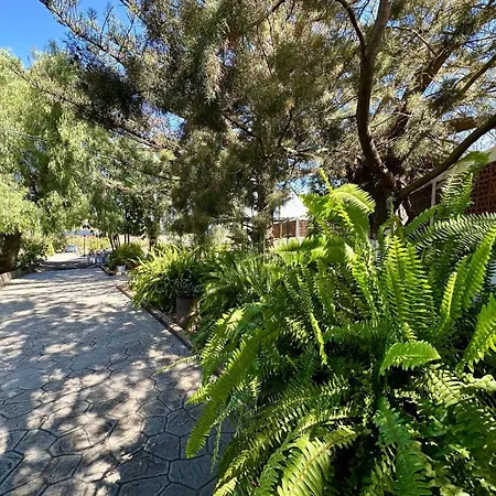 Apartamento El Solis Vacacional